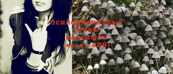 каннабис Абаза