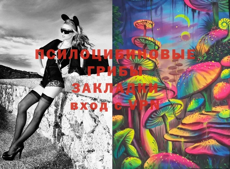 mega Белоярский Псилоцибиновые грибы мухоморы
